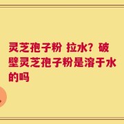 灵芝孢子粉 拉水？破壁灵芝孢子粉是溶于水的吗