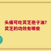 头痛可吃灵芝孢子油？灵芝的功效有哪些