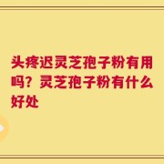 头疼迟灵芝孢子粉有用吗？灵芝孢子粉有什么好处