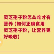 灵芝孢子粉怎么吃才有营养 (如何正确食用灵芝孢子粉，让营养更好吸收)