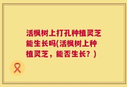 活枫树上打孔种植灵芝能生长吗(活枫树上种植灵芝，能否生长？)