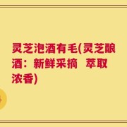 灵芝泡酒有毛(灵芝酿酒：新鲜采摘  萃取浓香)