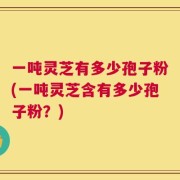 一吨灵芝有多少孢子粉(一吨灵芝含有多少孢子粉？)