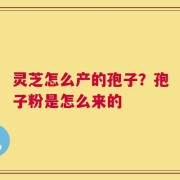灵芝怎么产的孢子？孢子粉是怎么来的