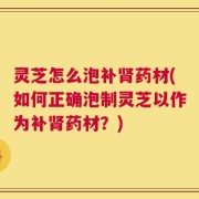 灵芝怎么泡补肾药材(如何正确泡制灵芝以作为补肾药材？)