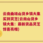 云南曲靖山货乡镇大集买到灵芝(云南山货乡镇大集：最新货品灵芝惊喜亮相)