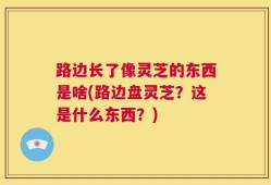 路边长了像灵芝的东西是啥(路边盘灵芝？这是什么东西？)