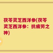 茯苓灵芝西洋参(茯苓灵芝西洋参：抗疲劳之神)