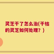 灵芝干了怎么治(干枯的灵芝如何处理？)