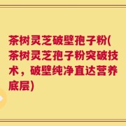 茶树灵芝破壁孢子粉(茶树灵芝孢子粉突破技术，破壁纯净直达营养底层)