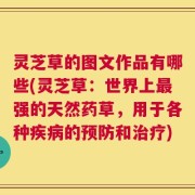 灵芝草的图文作品有哪些(灵芝草：世界上最强的天然药草，用于各种疾病的预防和治疗)