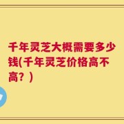 千年灵芝大概需要多少钱(千年灵芝价格高不高？)
