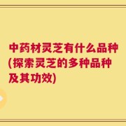 中药材灵芝有什么品种(探索灵芝的多种品种及其功效)