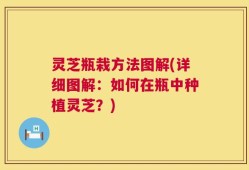 灵芝瓶栽方法图解(详细图解：如何在瓶中种植灵芝？)