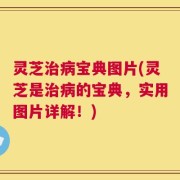 灵芝治病宝典图片(灵芝是治病的宝典，实用图片详解！)