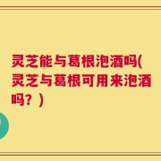 灵芝能与葛根泡酒吗(灵芝与葛根可用来泡酒吗？)