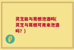 灵芝能与葛根泡酒吗(灵芝与葛根可用来泡酒吗？)