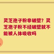 灵芝孢子粉非破壁？灵芝孢子粉不经破壁就不能被人体吸收吗