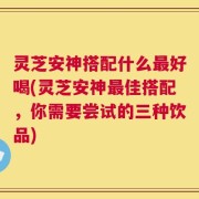 灵芝安神搭配什么最好喝(灵芝安神最佳搭配，你需要尝试的三种饮品)