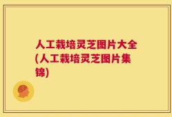 人工栽培灵芝图片大全(人工栽培灵芝图片集锦)
