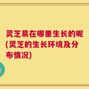 灵芝易在哪里生长的呢(灵芝的生长环境及分布情况)