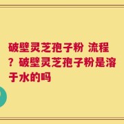 破壁灵芝孢子粉 流程？破壁灵芝孢子粉是溶于水的吗