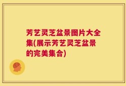 芳艺灵芝盆景图片大全集(展示芳艺灵芝盆景的完美集合)