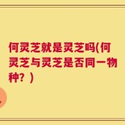何灵芝就是灵芝吗(何灵芝与灵芝是否同一物种？)
