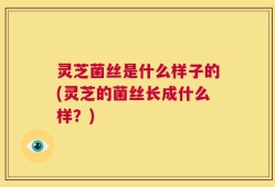 灵芝菌丝是什么样子的(灵芝的菌丝长成什么样？)