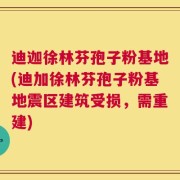 迪迦徐林芬孢子粉基地(迪加徐林芬孢子粉基地震区建筑受损，需重建)