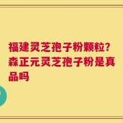 福建灵芝孢子粉颗粒？森正元灵芝孢子粉是真品吗