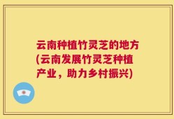 云南种植竹灵芝的地方(云南发展竹灵芝种植产业，助力乡村振兴)