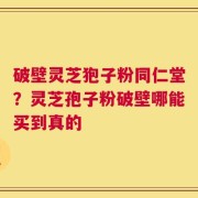 破壁灵芝狍子粉同仁堂？灵芝孢子粉破壁哪能买到真的