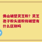 佛山破壁灵芝粉？灵芝孢子粉头道粉和破壁有什么区别吗