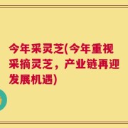今年采灵芝(今年重视采摘灵芝，产业链再迎发展机遇)