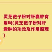 灵芝孢子粉对肝囊肿有用吗(灵芝孢子粉对肝囊肿的功效及作用原理)