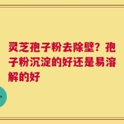 灵芝孢子粉去除壁？孢子粉沉淀的好还是易溶解的好