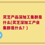 灵芝产品深加工集群是什么(灵芝深加工产业集群是什么？)