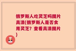 俄罗斯人吃灵芝吗图片高清(俄罗斯人是否食用灵芝？查看高清图片)