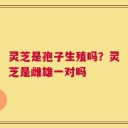 灵芝是孢子生殖吗？灵芝是雌雄一对吗