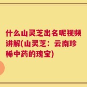 什么山灵芝出名呢视频讲解(山灵芝：云南珍稀中药的瑰宝)