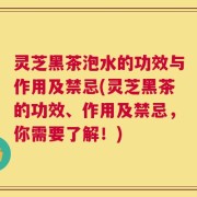 灵芝黑茶泡水的功效与作用及禁忌(灵芝黑茶的功效、作用及禁忌，你需要了解！)