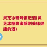 灵芝冰糖蜂蜜泡酒(灵芝冰糖蜂蜜酿制美味健康的酒)
