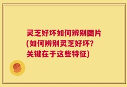 灵芝好坏如何辨别图片(如何辨别灵芝好坏？关键在于这些特征)