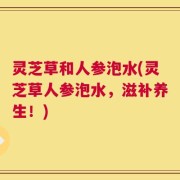 灵芝草和人参泡水(灵芝草人参泡水，滋补养生！)