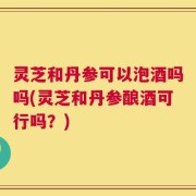 灵芝和丹参可以泡酒吗吗(灵芝和丹参酿酒可行吗？)