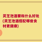 灵芝泡酒要和什么好处(灵芝泡酒搭配哪些食材更健康)