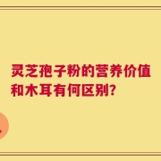 灵芝孢子粉的营养价值和木耳有何区别？