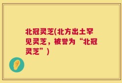 北冠灵芝(北方出土罕见灵芝，被誉为“北冠灵芝”)