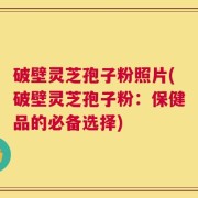 破壁灵芝孢子粉照片(破壁灵芝孢子粉：保健品的必备选择)